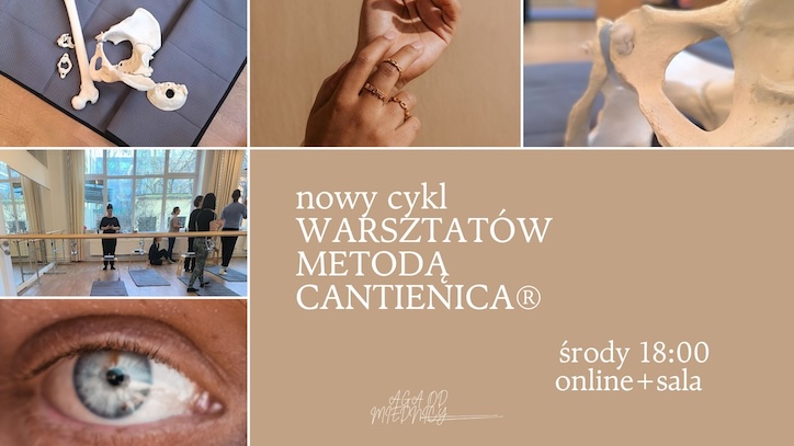 cykl CANTIENICA TRENING DNA MIEDNICY